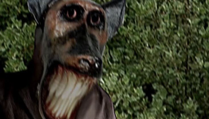 Á𝒏𝒈𝒆𝒍 𝑲𝒂𝒓𝒍𝒔𝒆𝒇𝒏𝒊🍂 tweet media