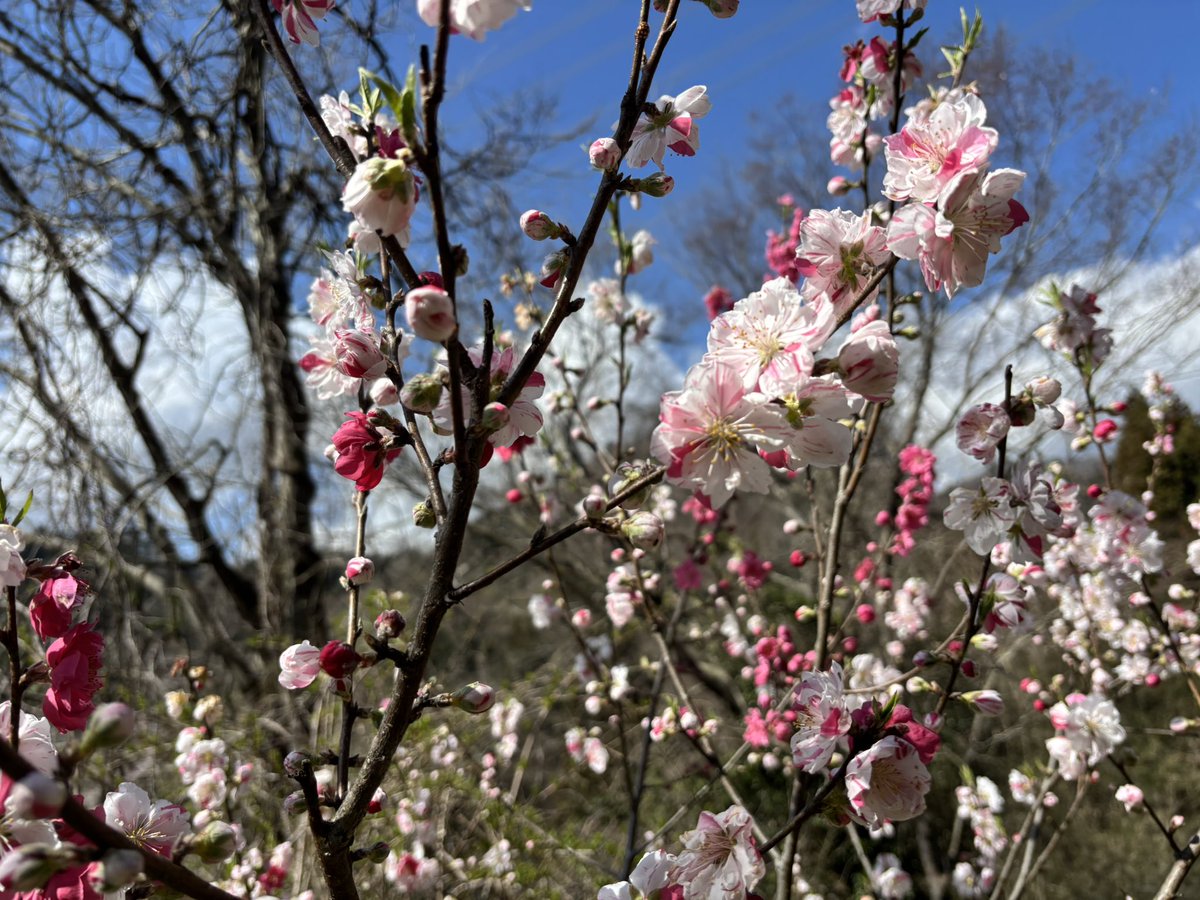 ともちゃん tweet media