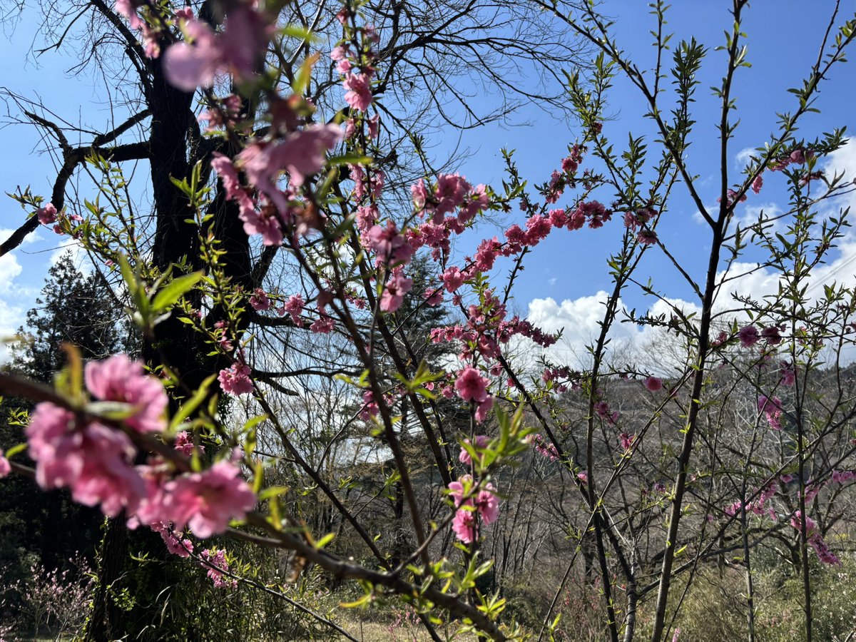 ともちゃん tweet media