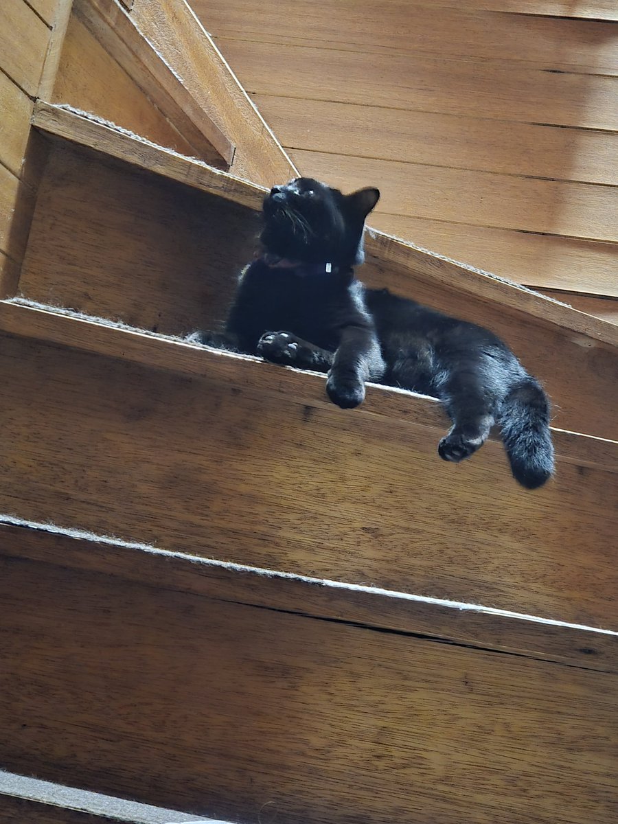 💜RAY💜 tweet media