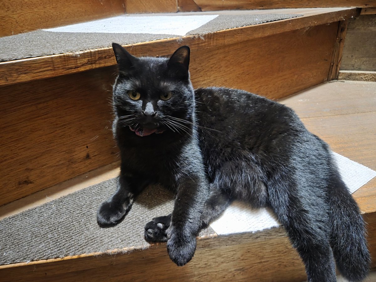 💜RAY💜 tweet media