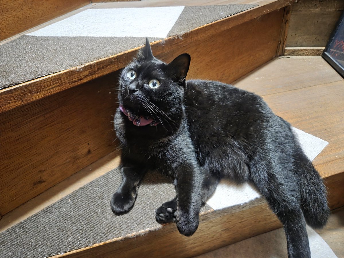 💜RAY💜 tweet media