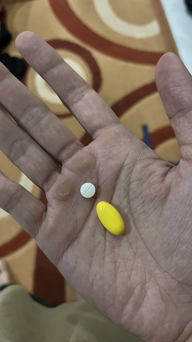pal pal 🥦 tweet media