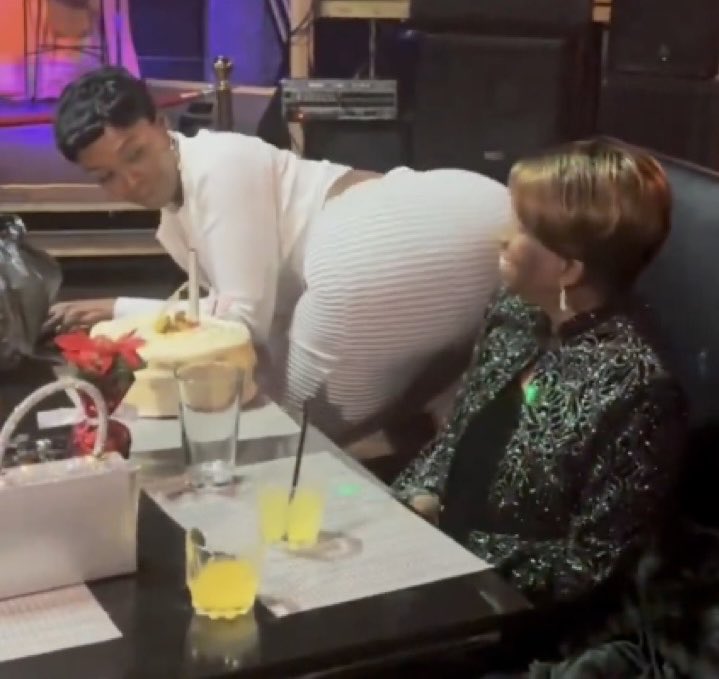 Catbird on a stick tweet media