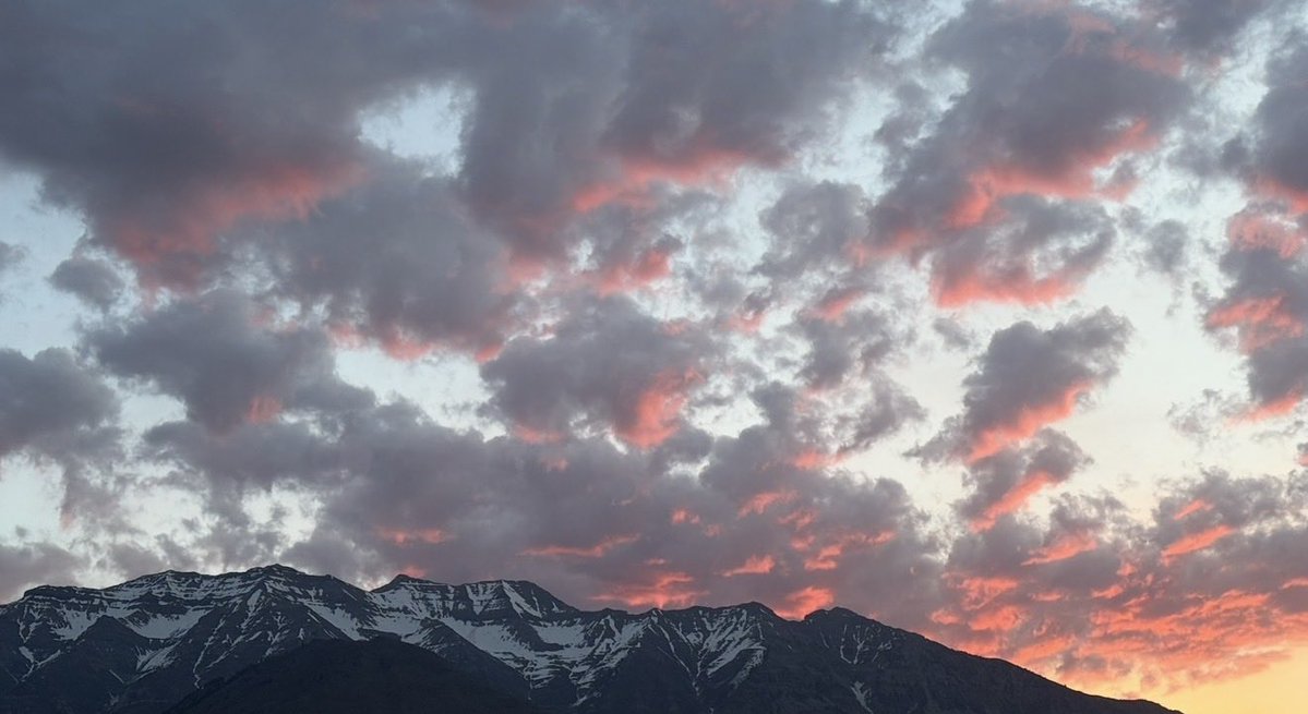 Positive4sure tweet media