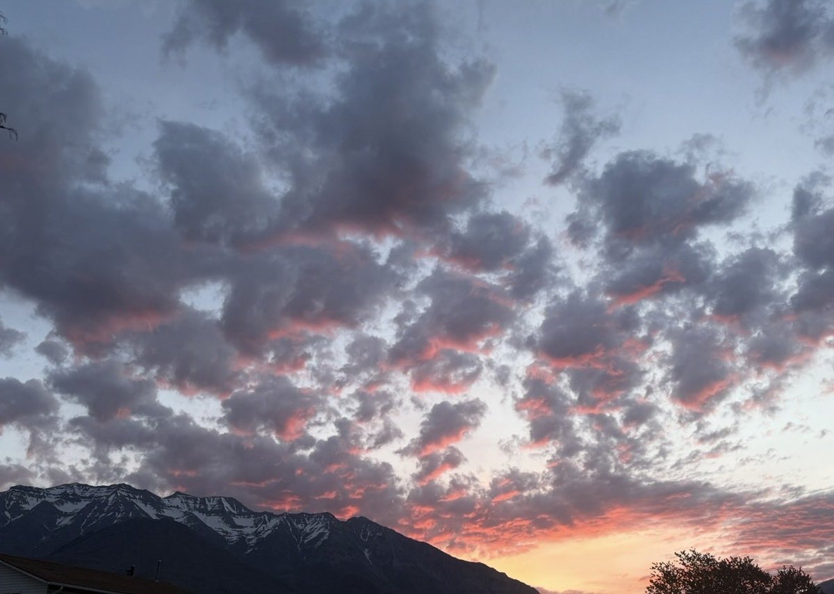 Positive4sure tweet media