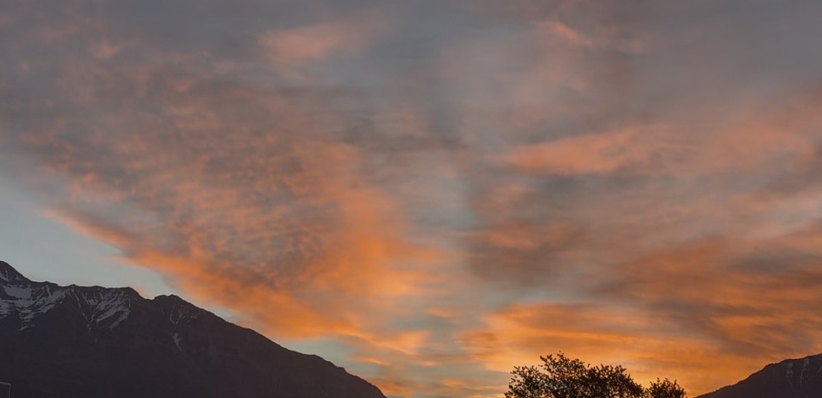 Positive4sure tweet media