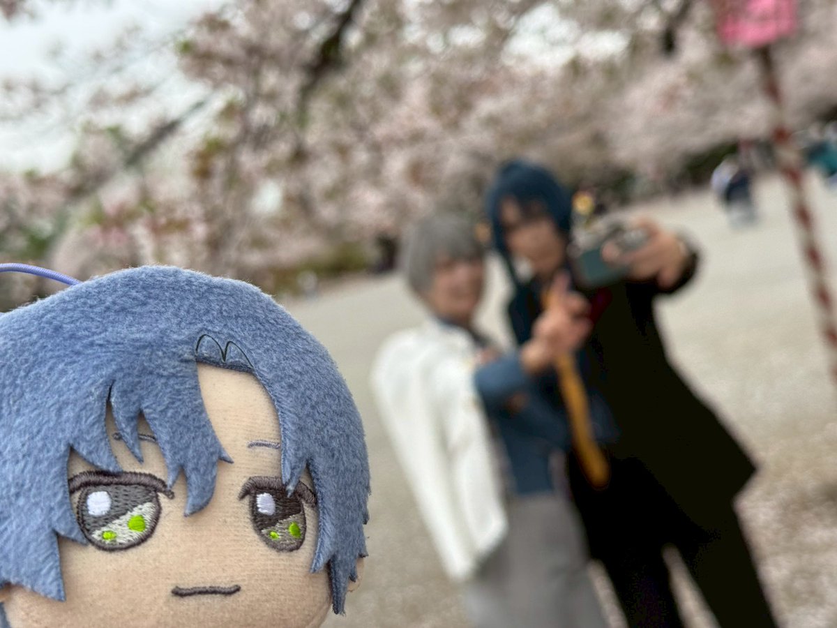 杏カレイ tweet media