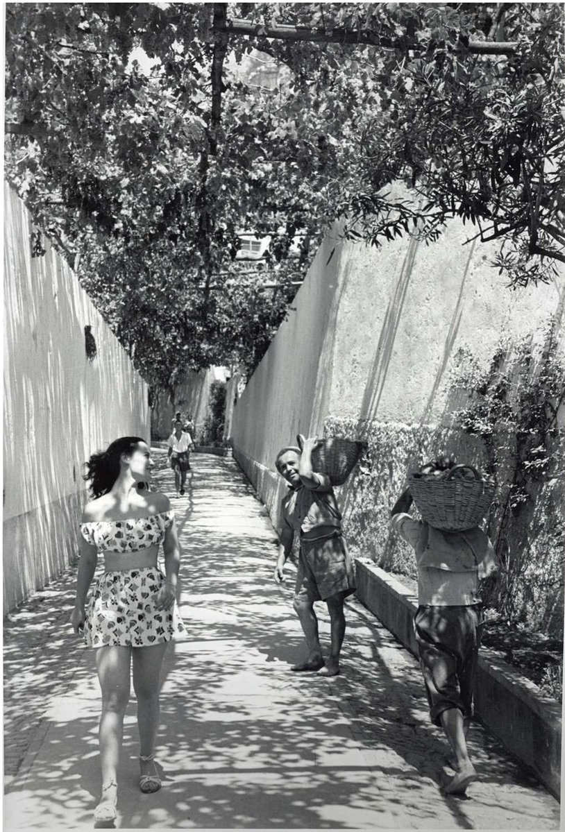 literland tweet media