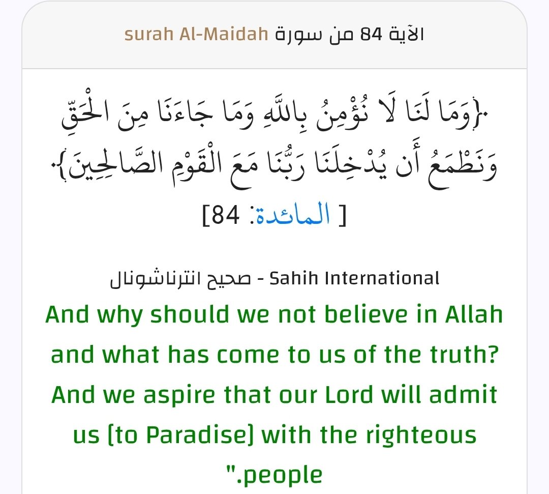 ابن الشام tweet media