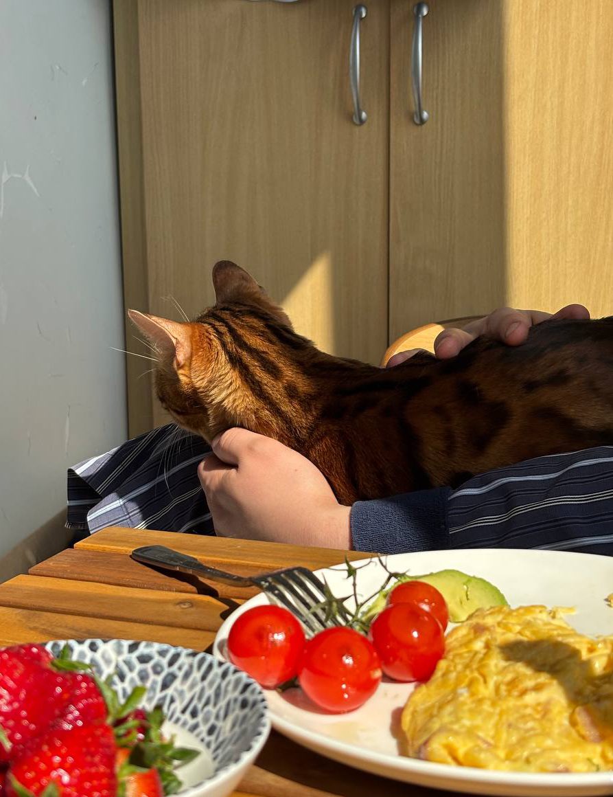 Chartophylax MD tweet media