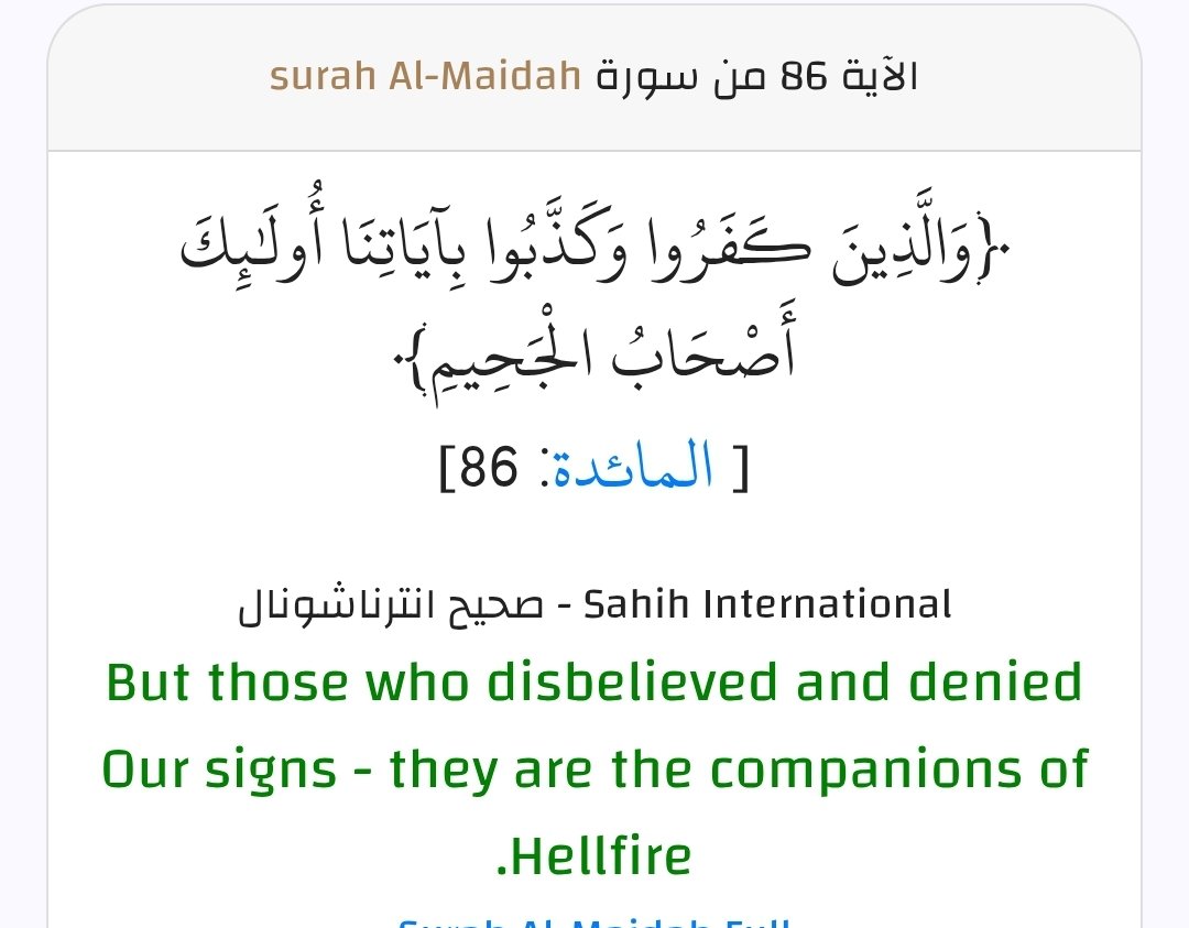 ابن الشام tweet media