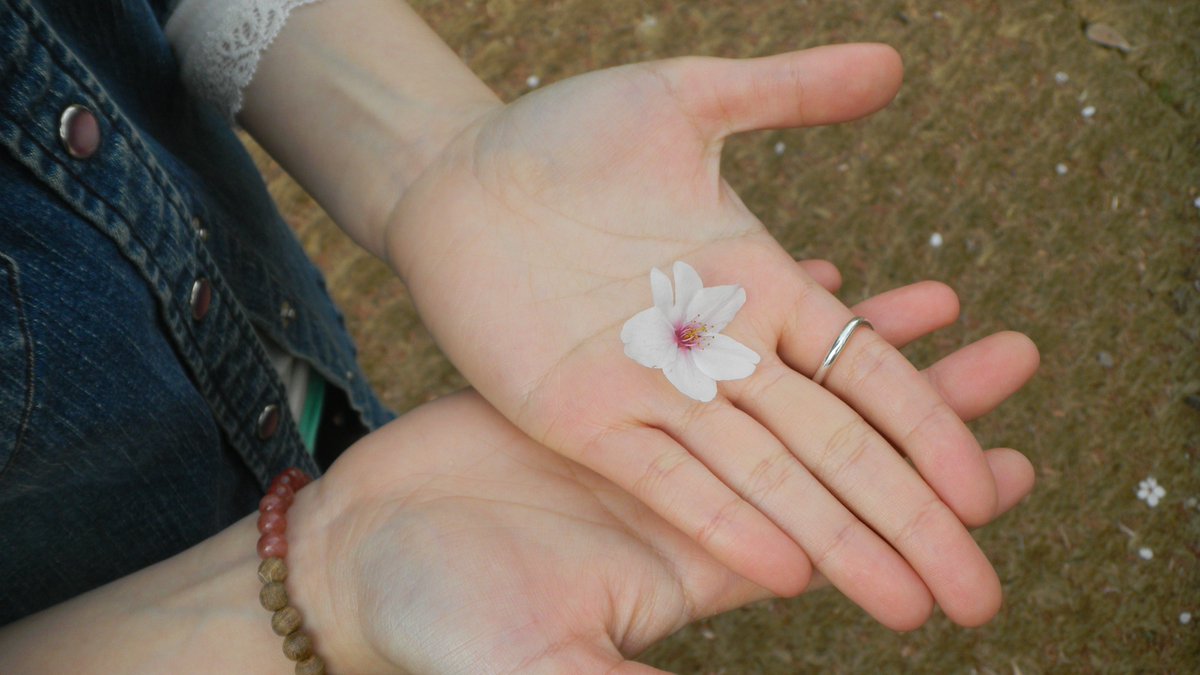 신세기 tweet media