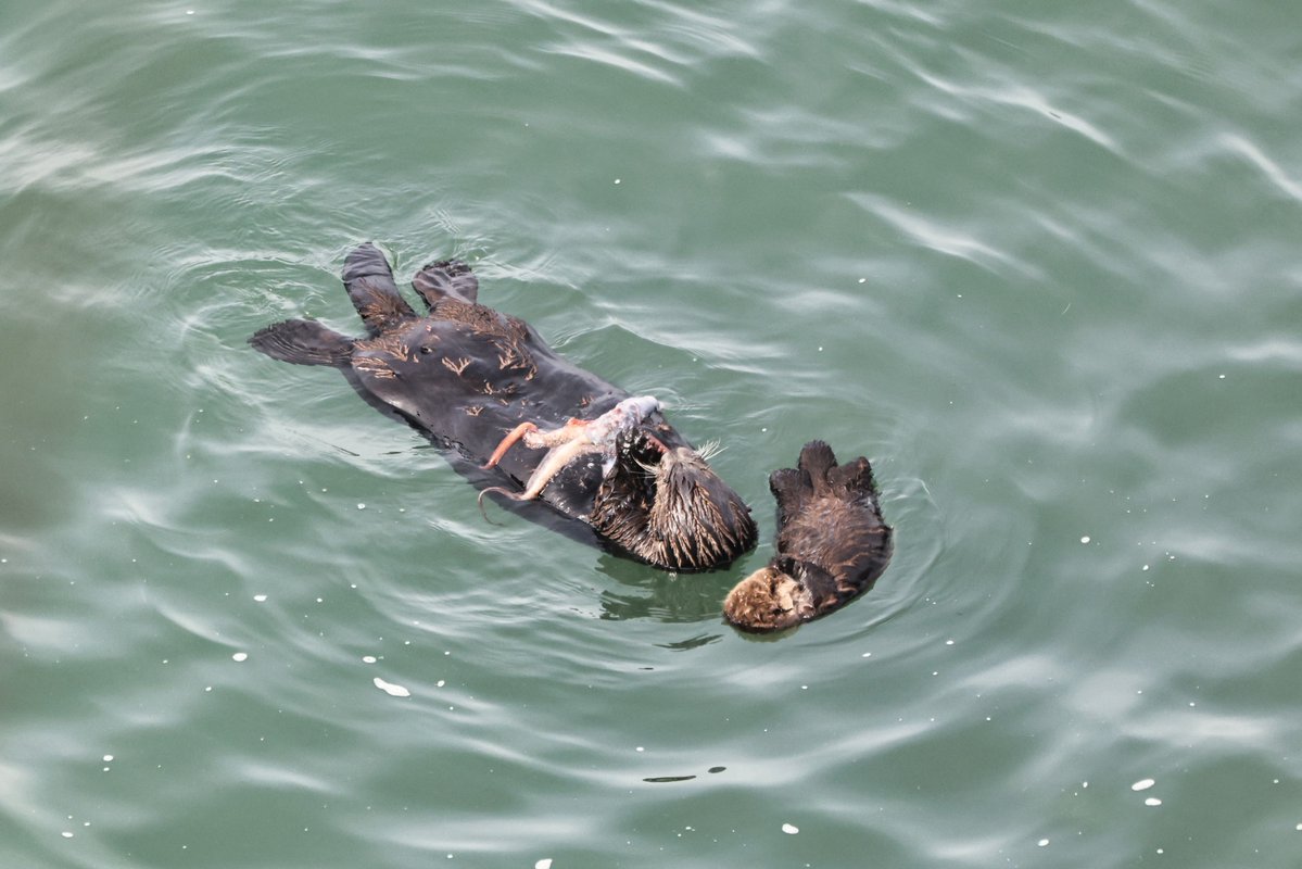 温根湯温泉の人♨️ tweet media