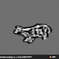 ShiftDelete.Net tweet media