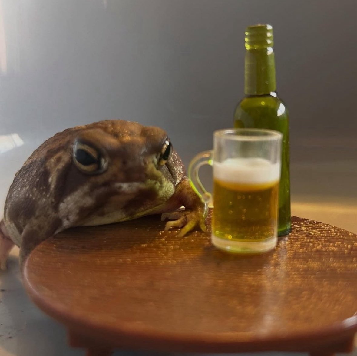 cheapiemac's tweet image. Monday vibes #letsgetit