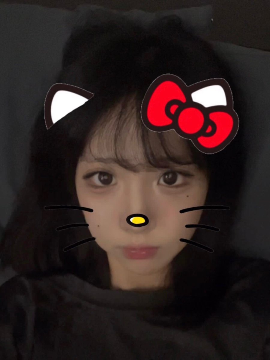 貓貓蟲~ tweet media