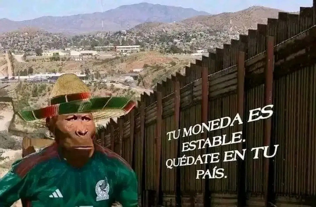 El tio dum tweet media