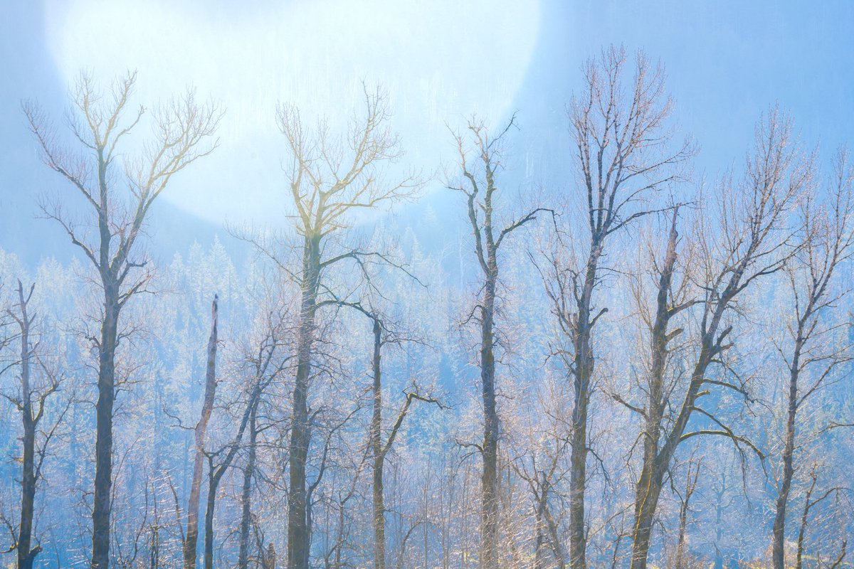 Tara in Abstract 🙃 tweet media