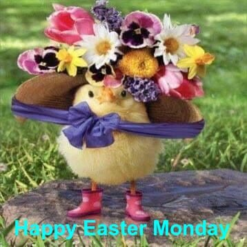 sally solihull tweet media