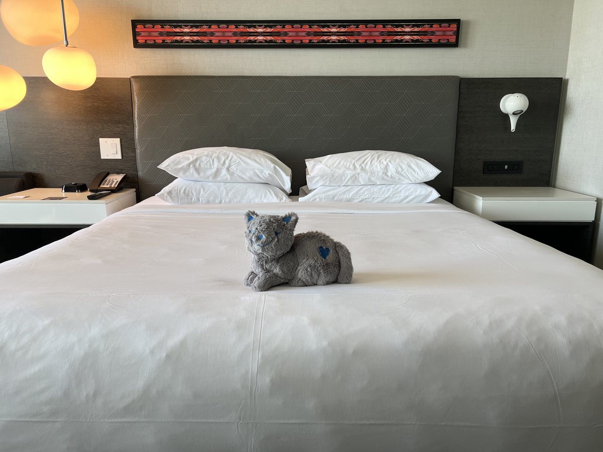 daunted | ドン 🌾 tweet media