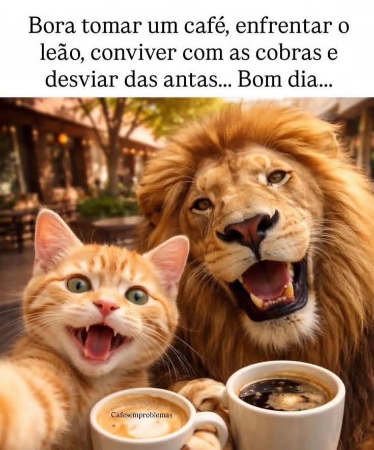 Helena🦋 tweet media