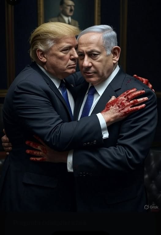 ELPRINCIPITO tweet media