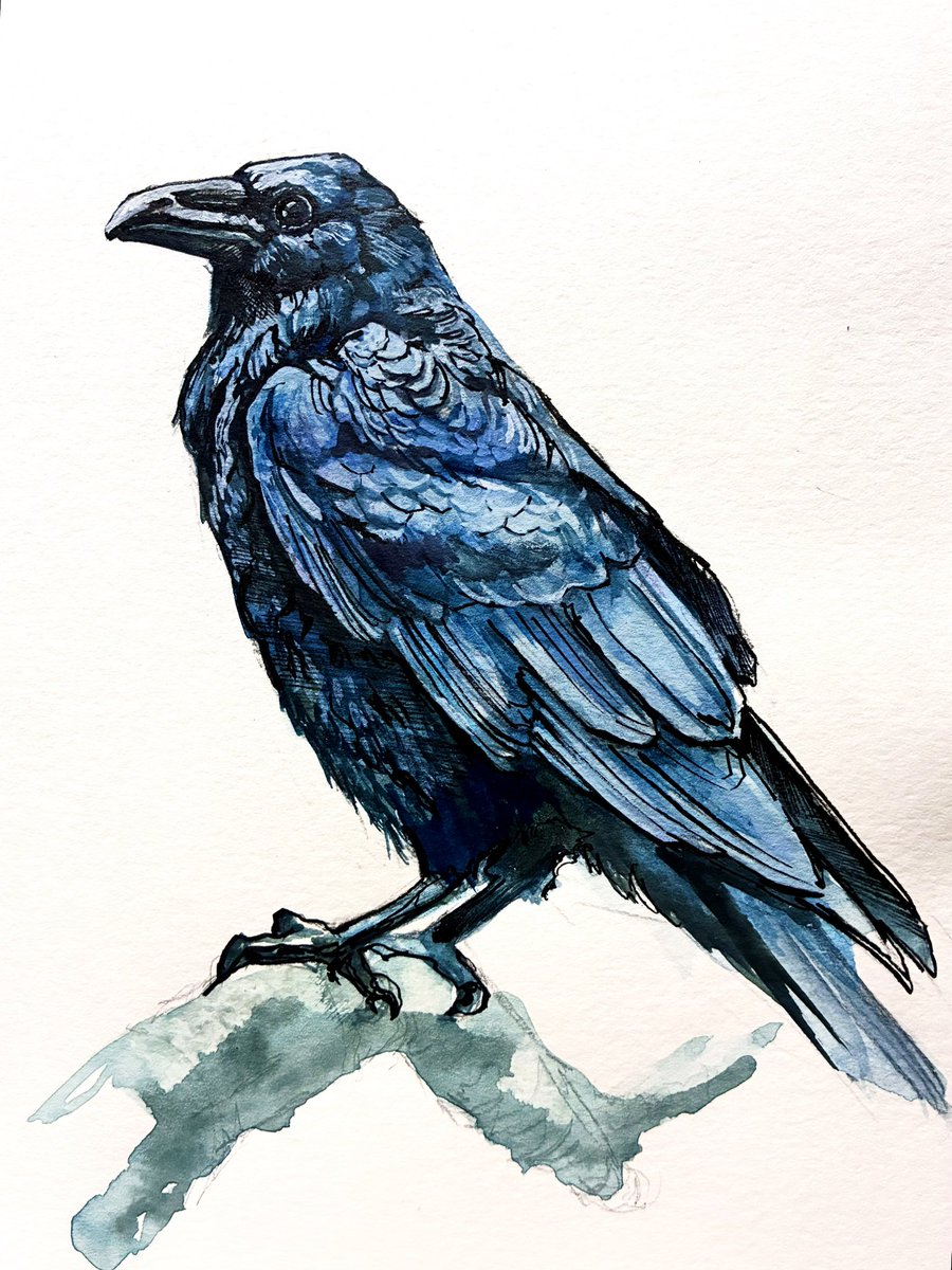 タカハシ シオン【個展4/14-4/19 宮城にて開催】 tweet media