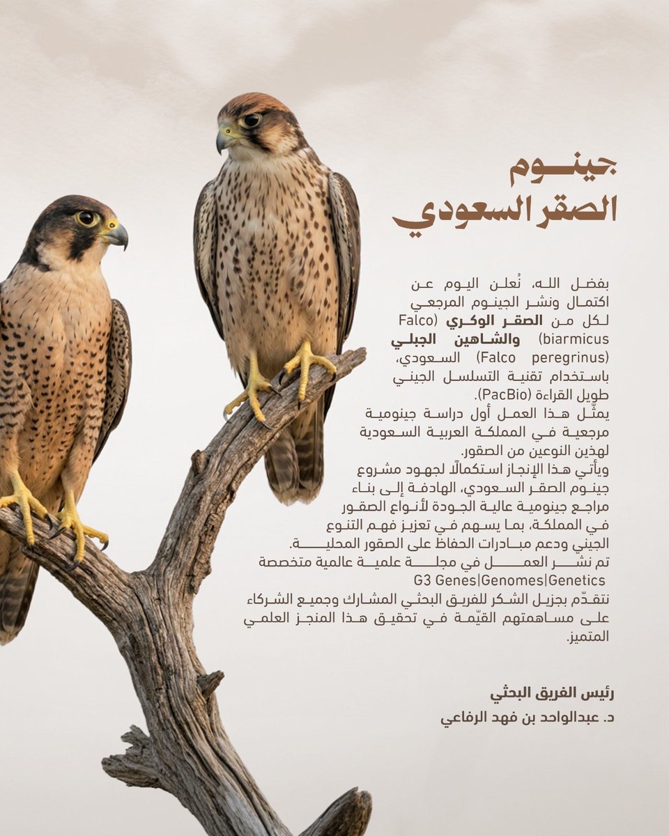 د. عبدالواحد الرفاعي tweet media