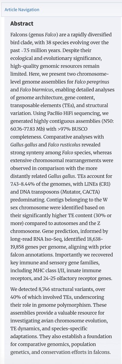 د. عبدالواحد الرفاعي tweet media