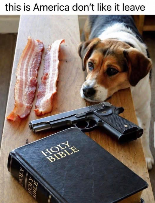 Marcia Kay tweet media