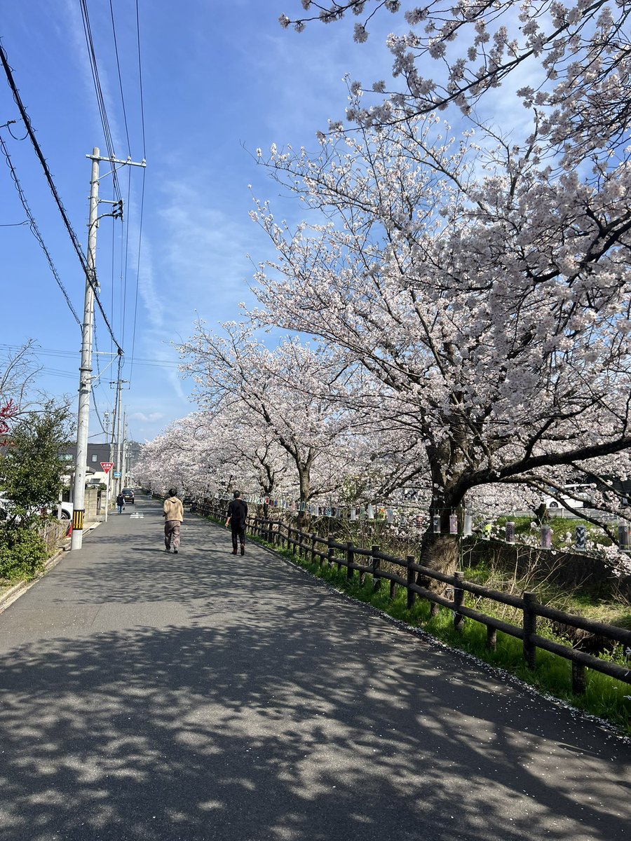 サウナーマスク【公式】 tweet media