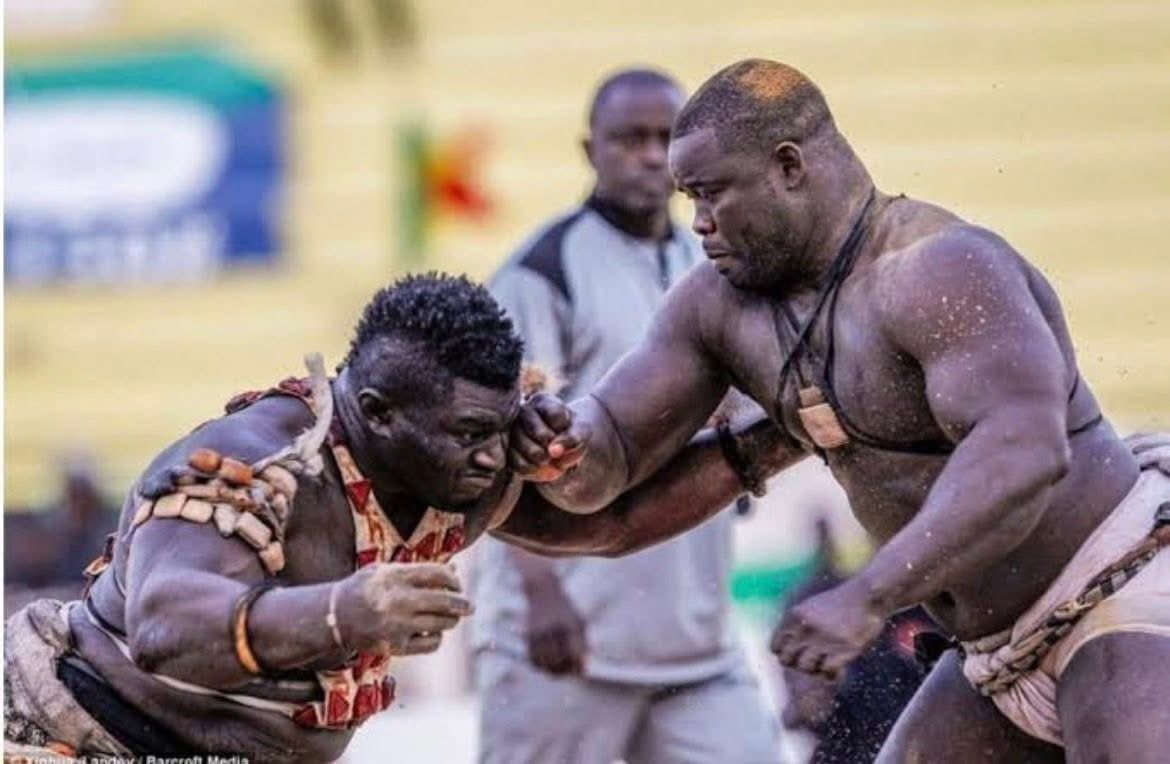 MOUHAMED 🇸🇳 tweet media