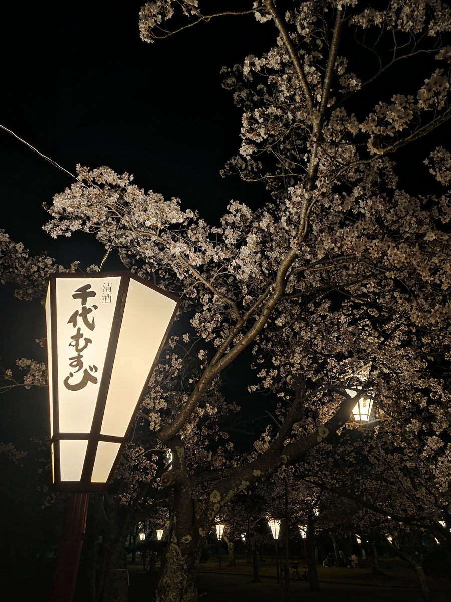 アナちょ@ゲーム tweet media