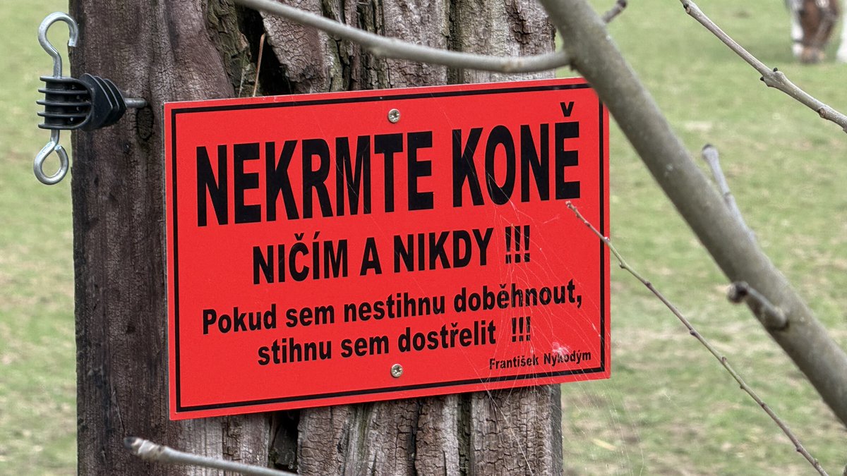 Guapo a 943 dalších amigos tweet media