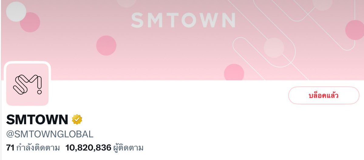 ‎💜🐱ขอตัวชั่วคราว งานเยอะ+ปั่นวิจัย tweet media