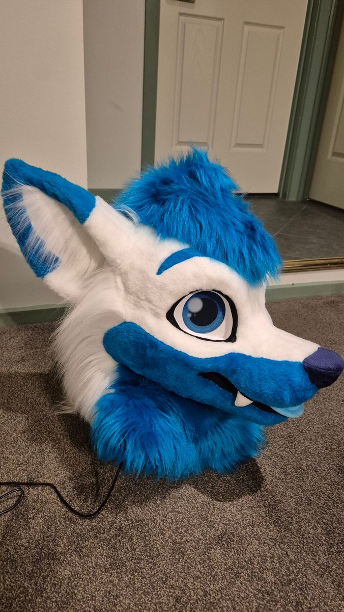 🥯 THEBAGEL124 🥯 - C0MMS Open 🔜 FURDU tweet media