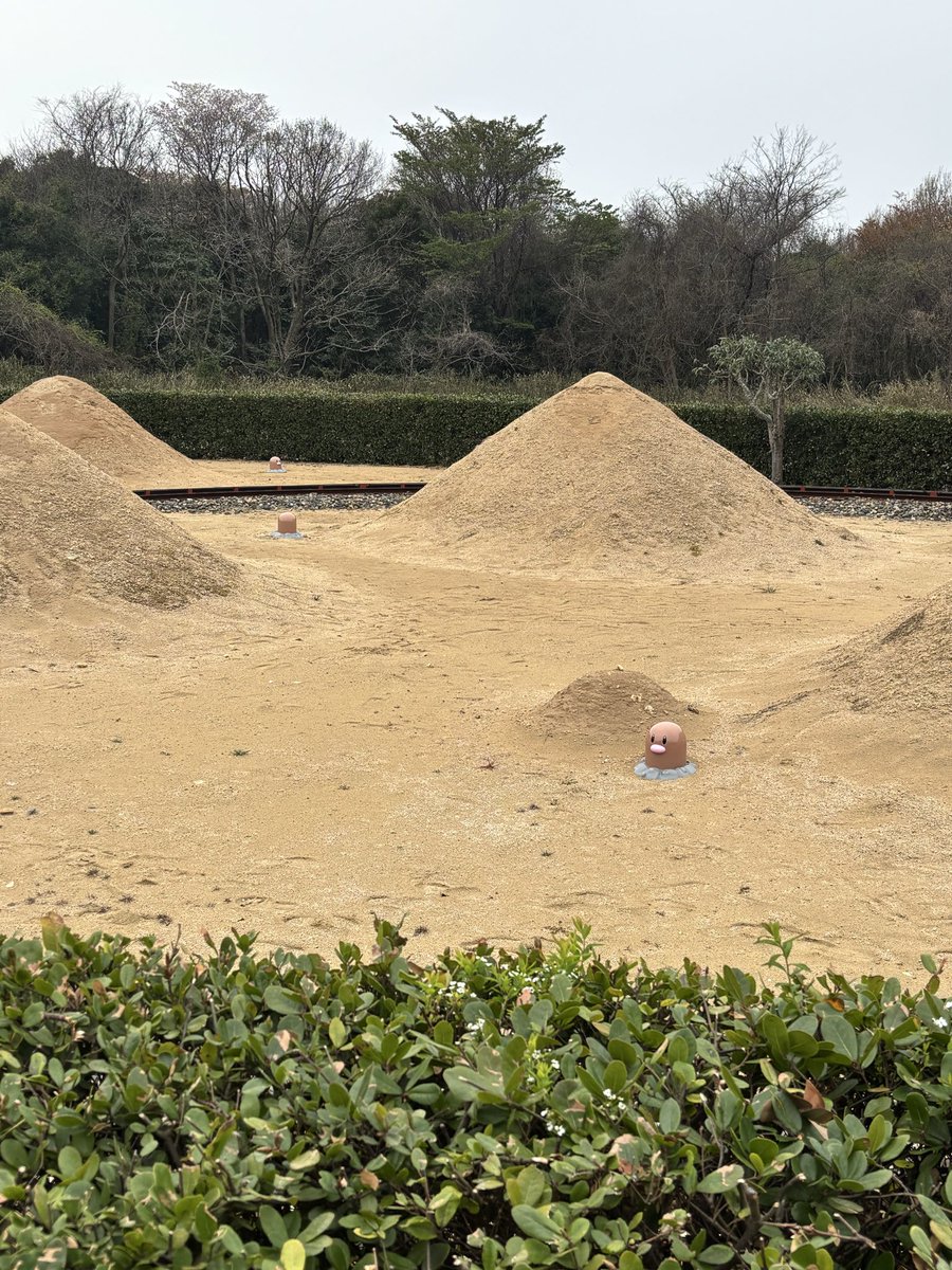 daichi321's tweet photo. 昨日今日と鳥取へ
初砂丘はすごすぎたー

馬の背で子供と泥団子作ってました（笑） https://t.co/YqDdRHHV3x