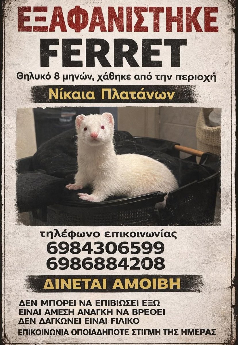 #sos #χάθηκε #σκυλάκι #αμοιβή