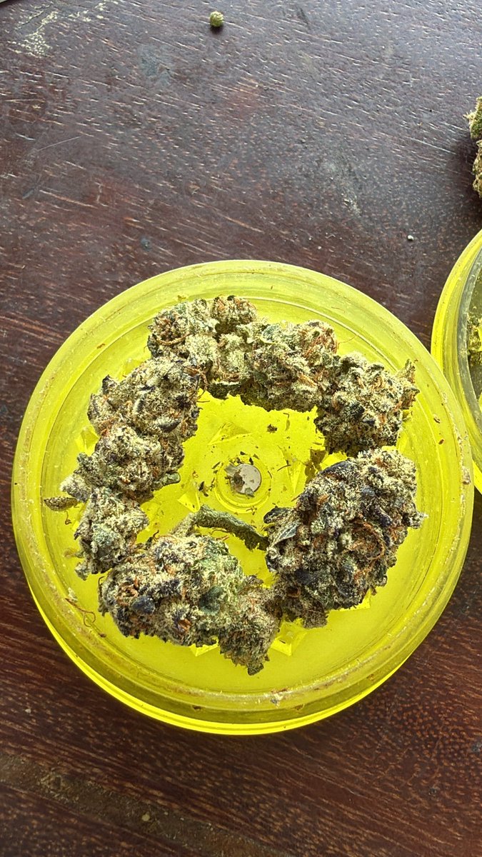 HARD BRAIN 🧠 STRAIN 🌳 tweet media