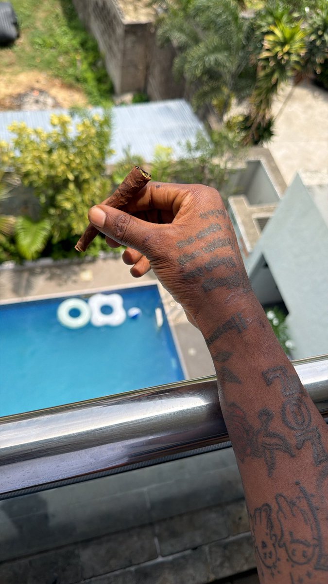 HARD BRAIN 🧠 STRAIN 🌳 tweet media