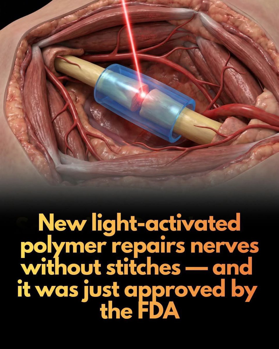 Shining Science tweet media