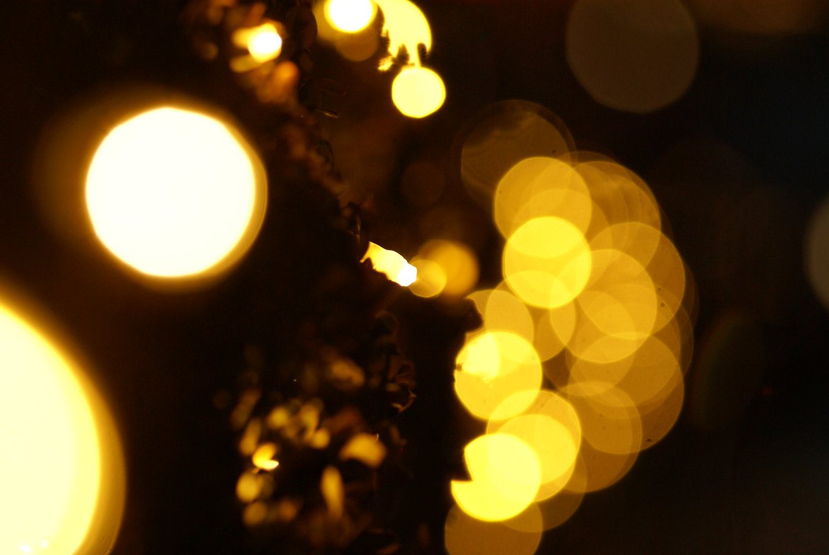 うつせみ tweet media