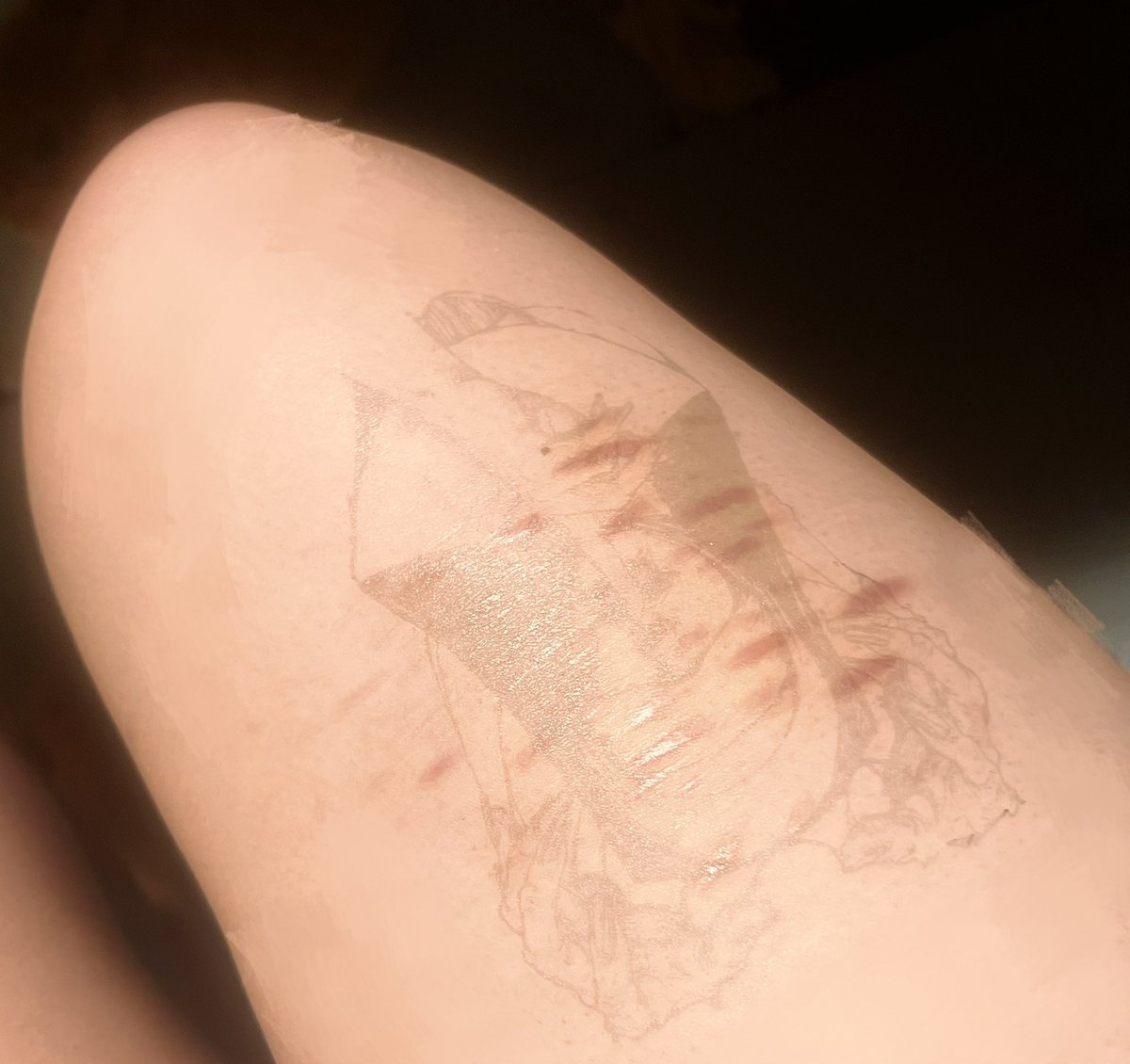 うさぎの奴隷🤍 tweet media