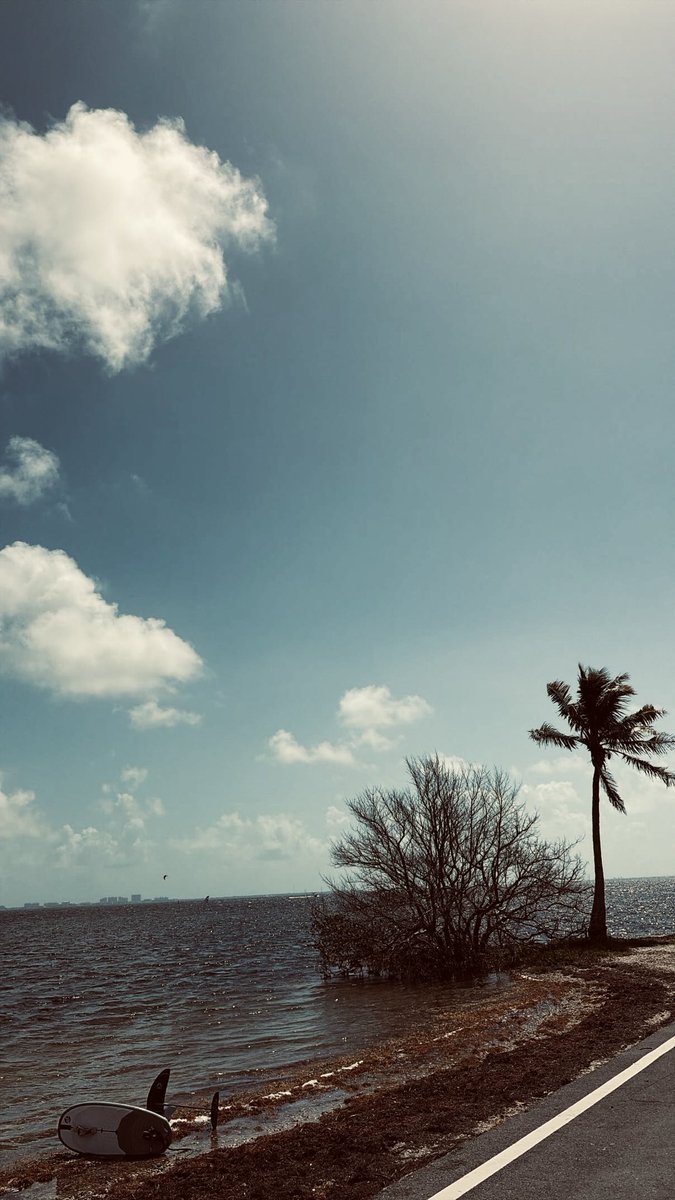 C. Medina tweet media