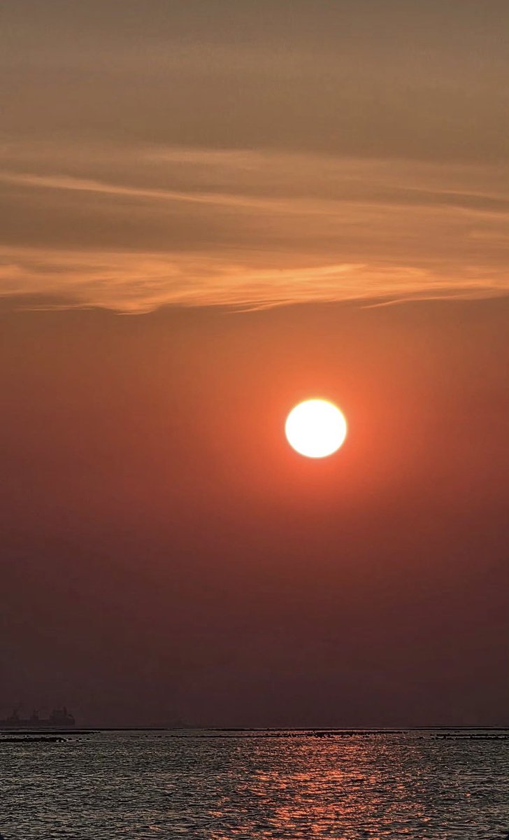 เด๋งด๋อง tweet media