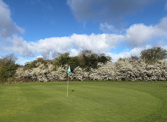 Calderfields tweet media