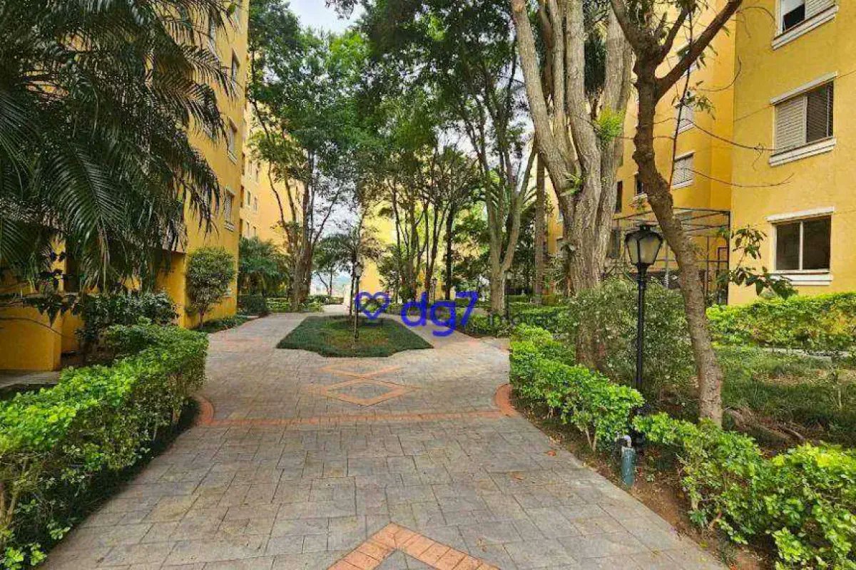 Paulo Antonio Papini. Advogado, Professor e Mestre tweet media