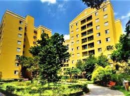 Paulo Antonio Papini. Advogado, Professor e Mestre tweet media