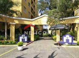 Paulo Antonio Papini. Advogado, Professor e Mestre tweet media